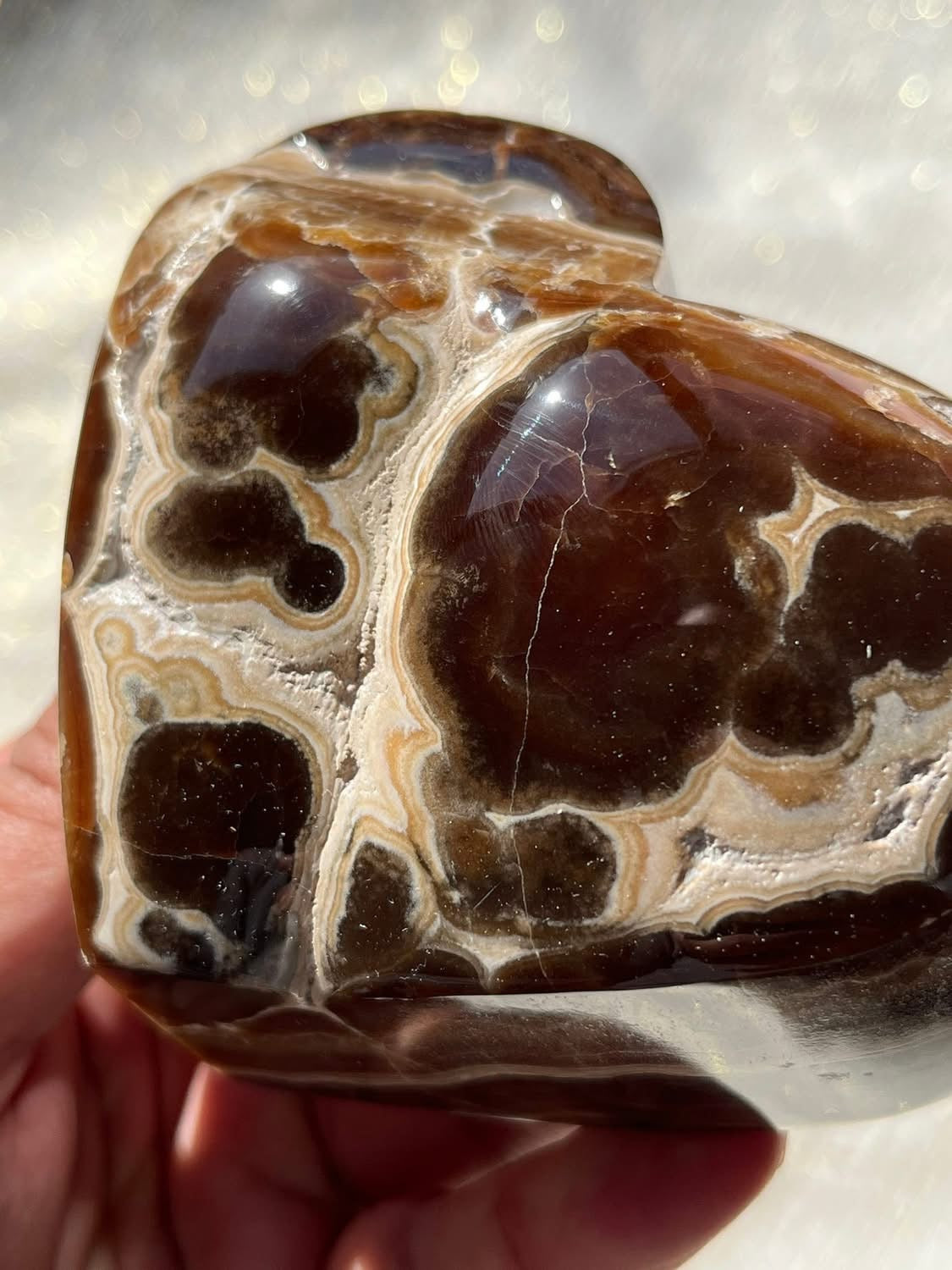 High Grade Botryoidal Chocolate Calcite Statement Heart D