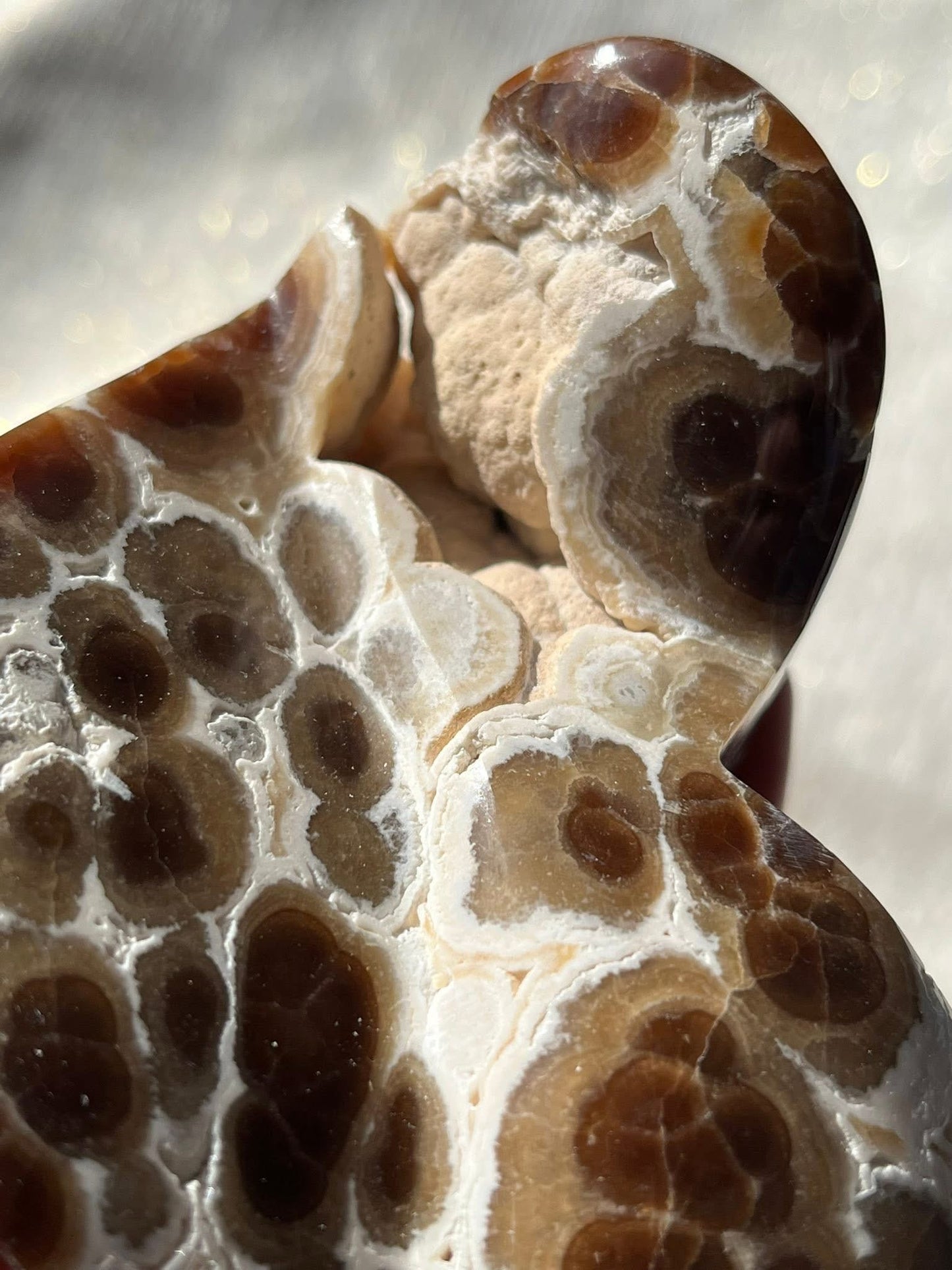 High Grade Botryoidal Chocolate Calcite Statement Heart C