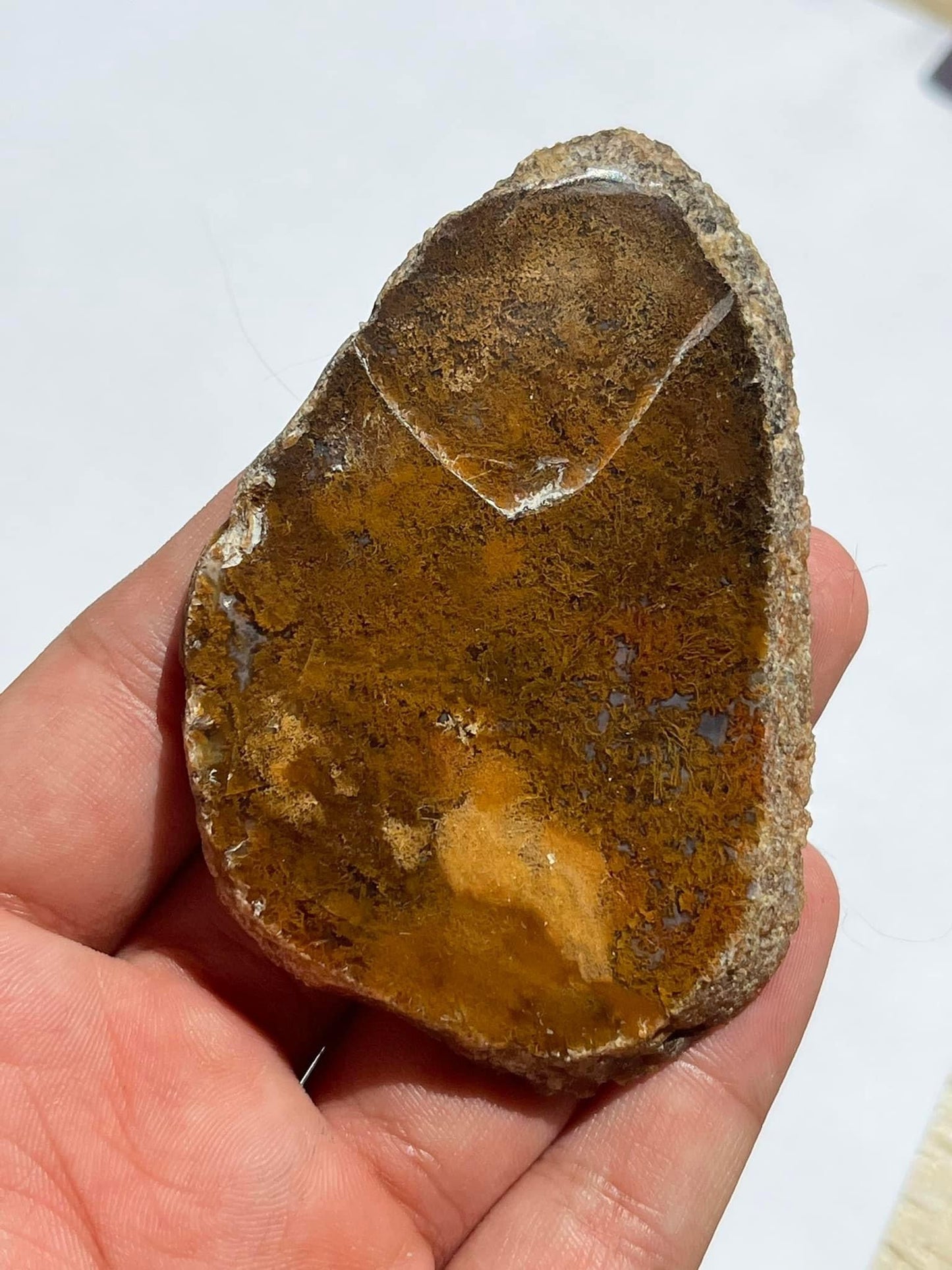 Indonesian Yellow Moss Agate Slabs