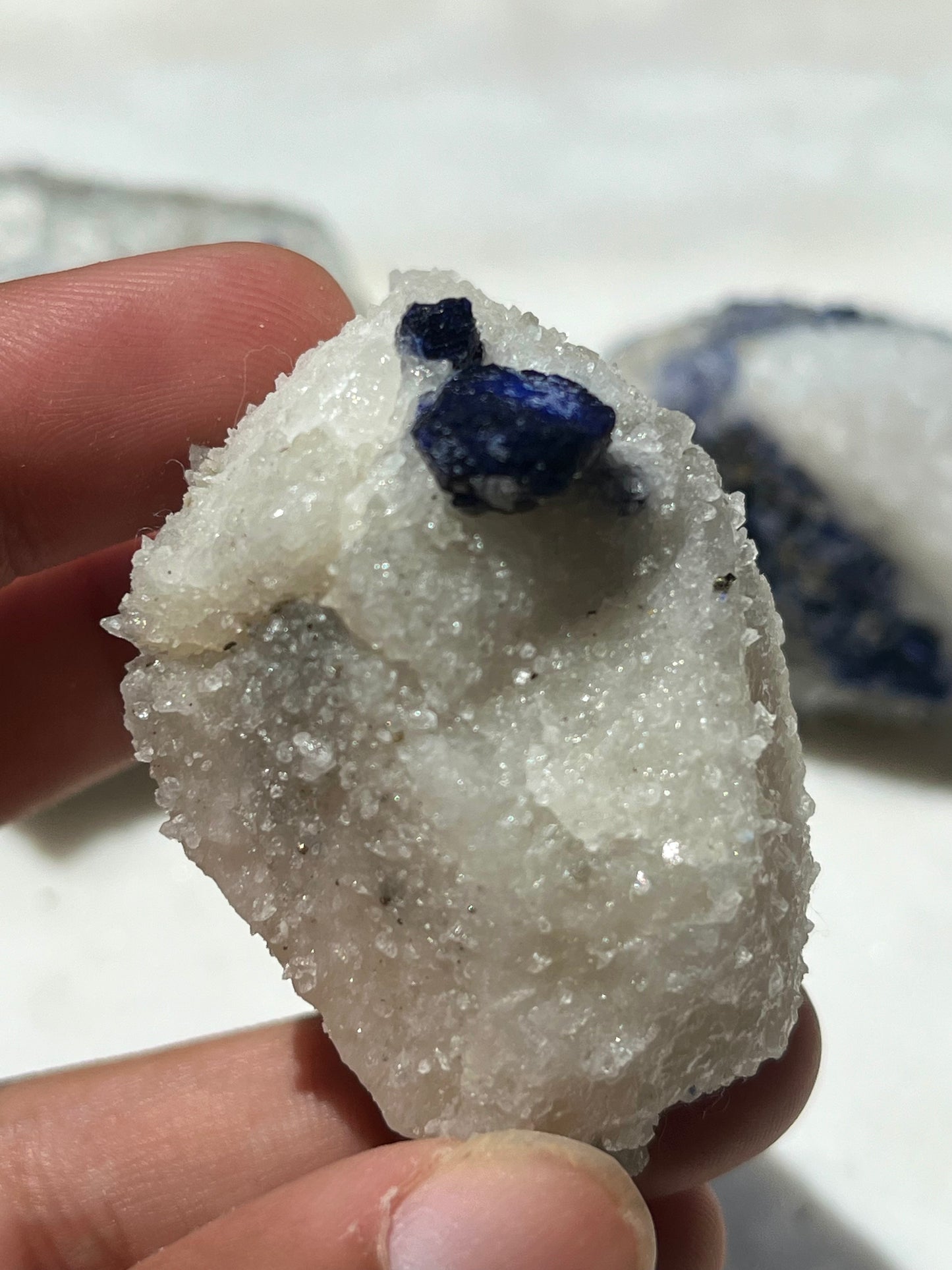 Lazurite specimen on white marble matrix w/ pyrite (Quality 1) - Lot 4