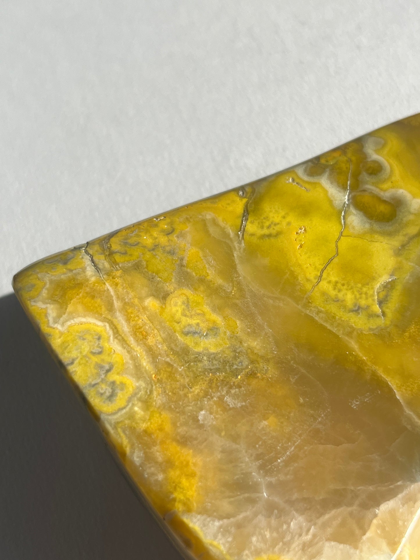 Bumblebee Jasper Freeform B