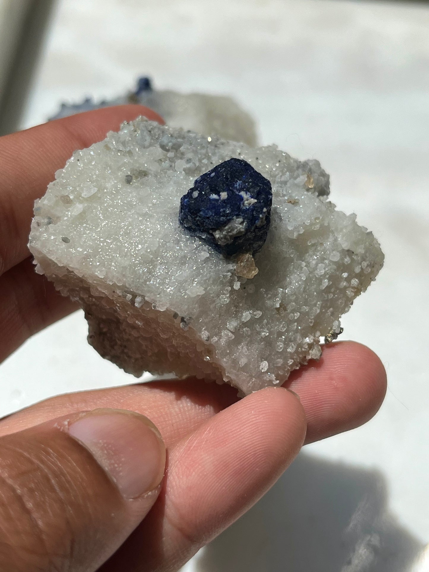 Lazurite specimen on white marble matrix w/ pyrite (Quality 1) - Lot 3