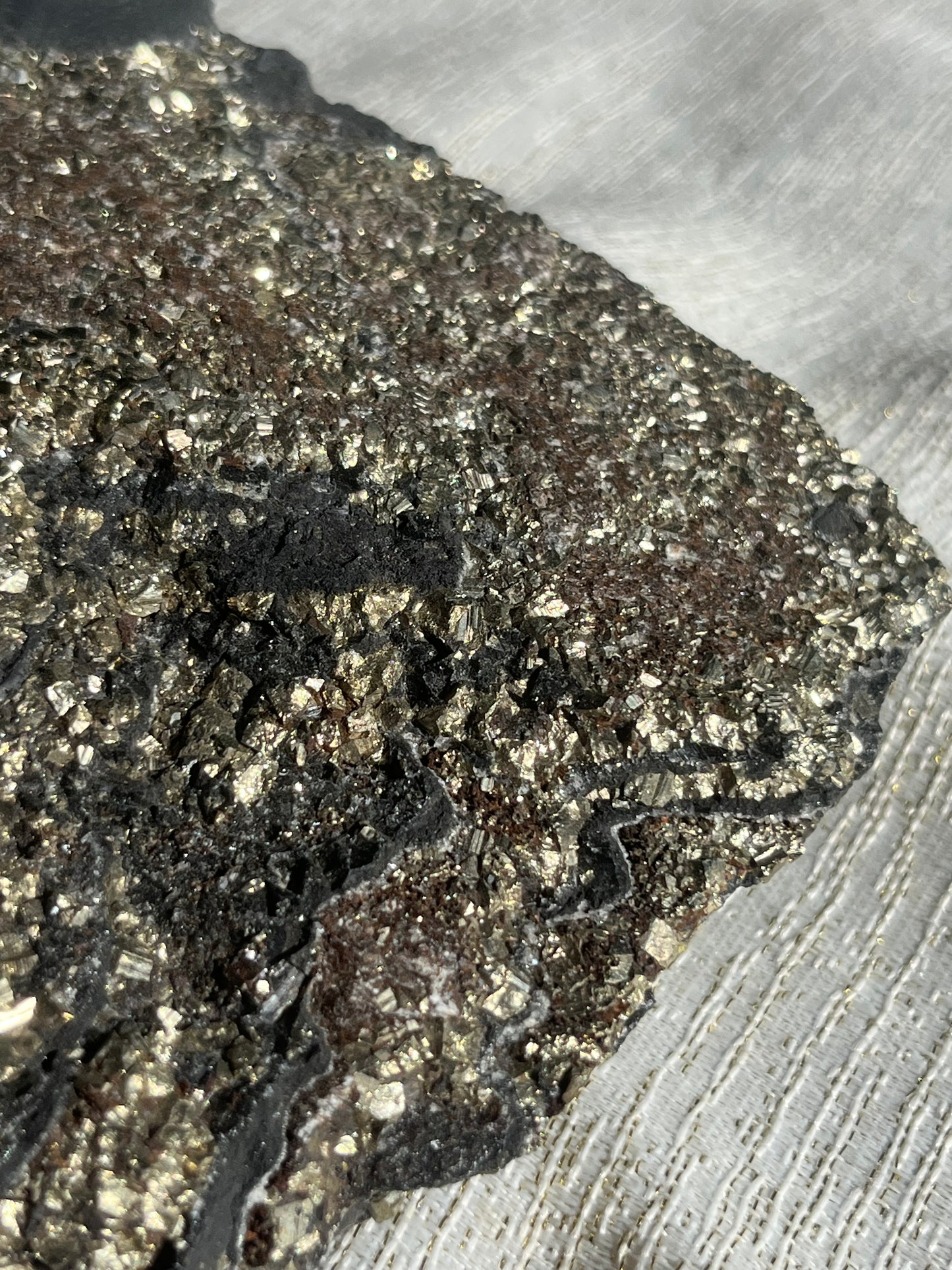 Pyrite in Shungite Specimen B