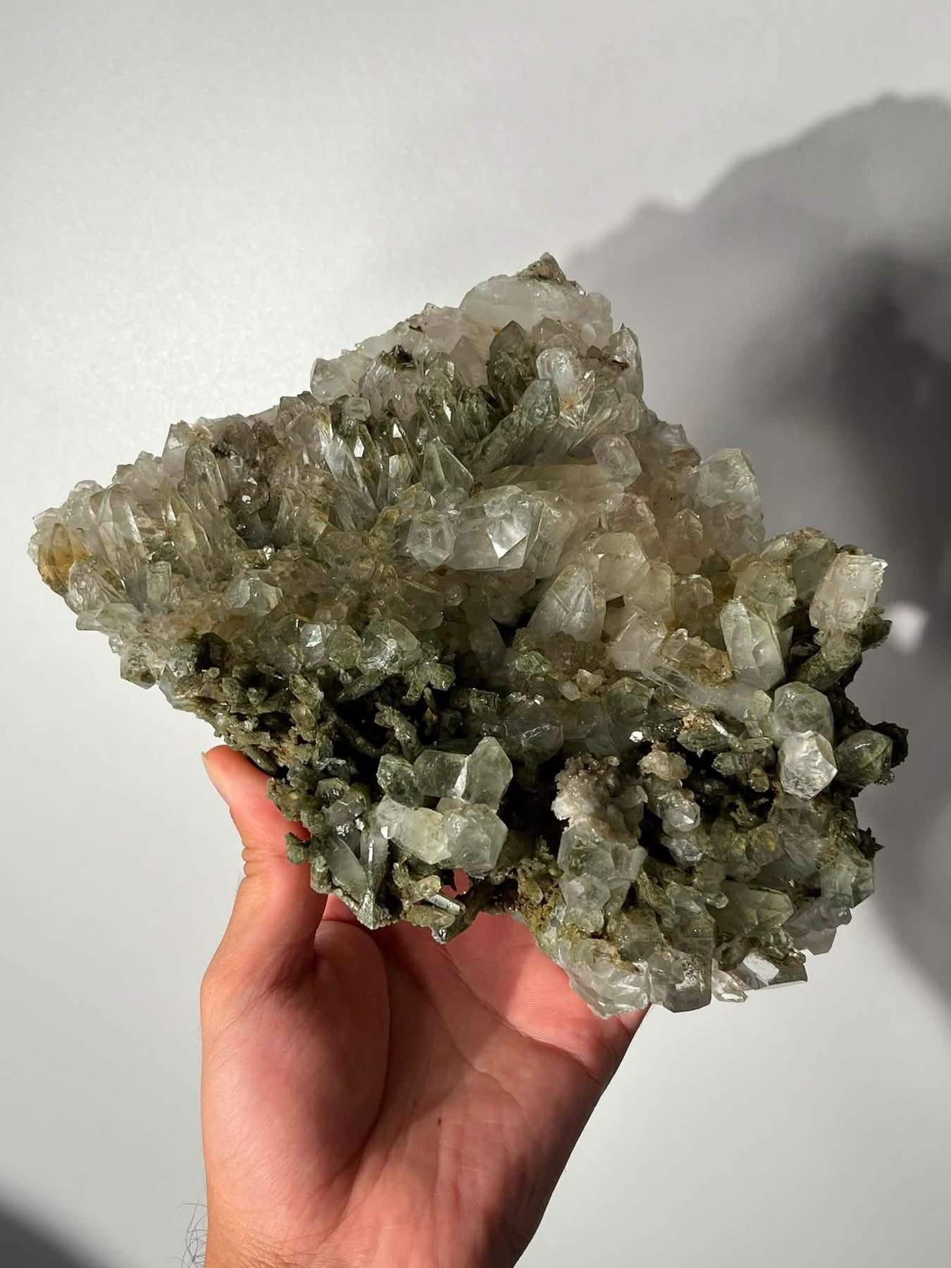 Statement Mossy Chlorite Garden Quartz Specimen A