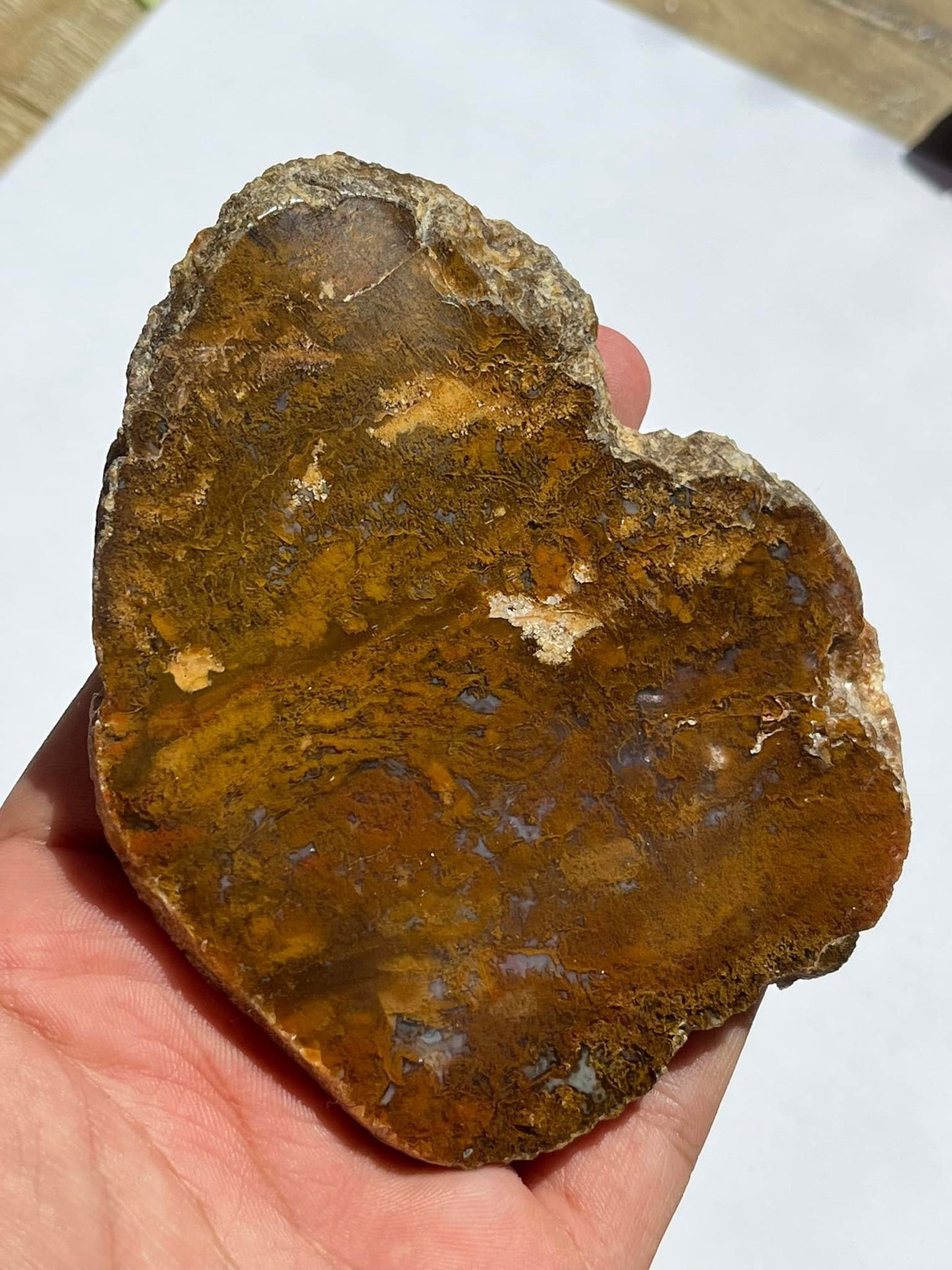 Indonesian Yellow Moss Agate Slabs