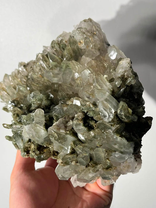 Statement Mossy Chlorite Garden Quartz Specimen A