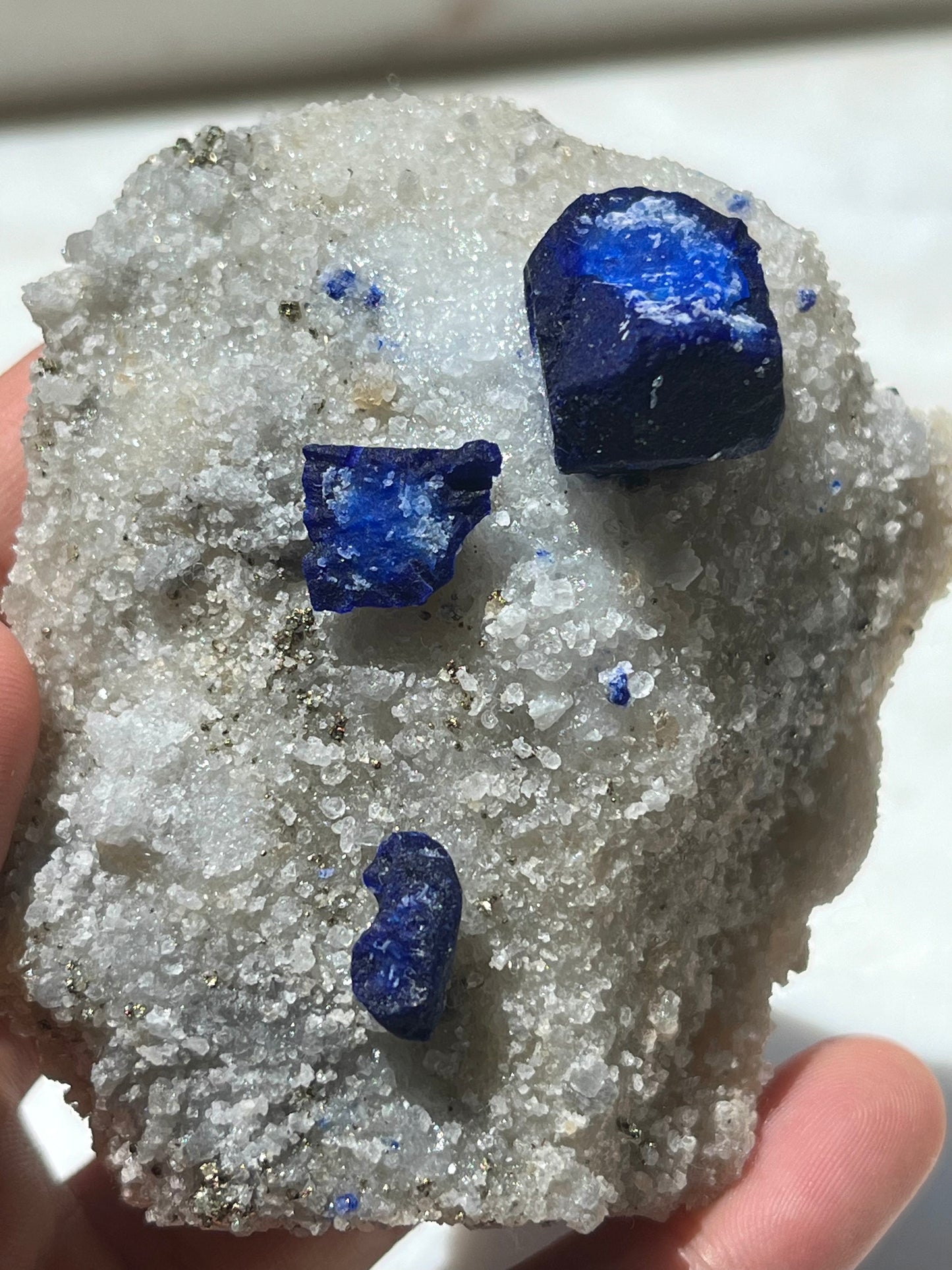 Lazurite specimen on white marble matrix w/ pyrite  (Quality 1) - Lot 1