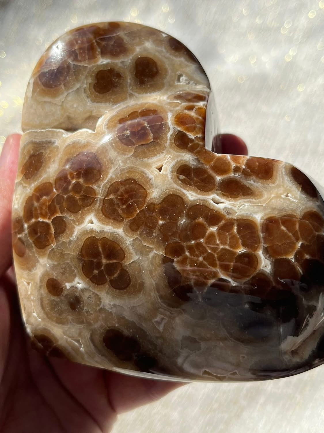 High Grade Botryoidal Chocolate Calcite Statement Heart B