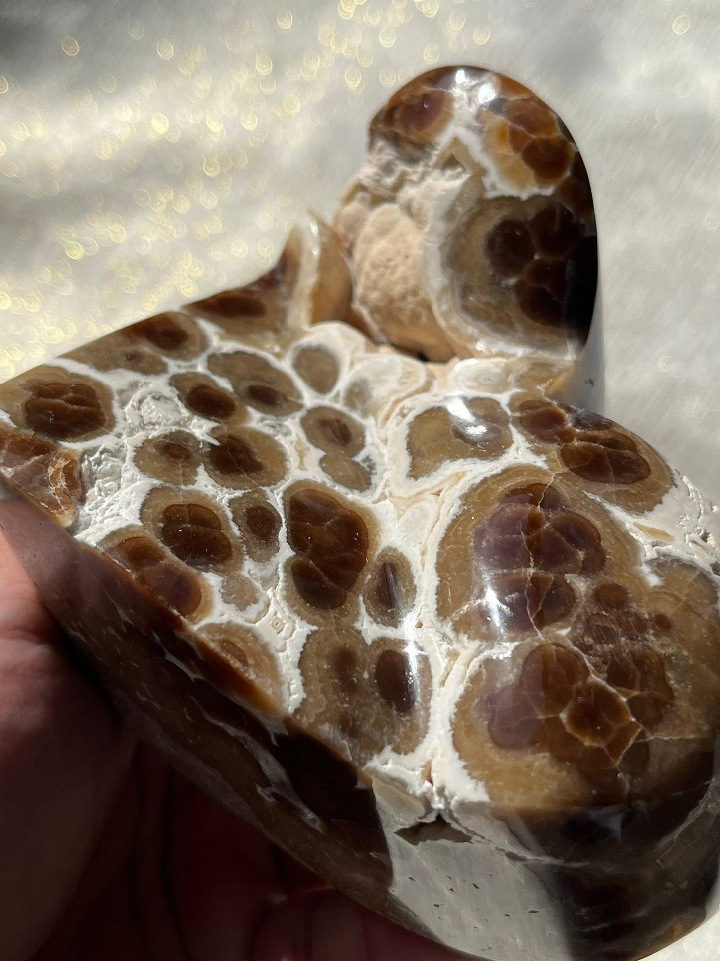 High Grade Botryoidal Chocolate Calcite Statement Heart C