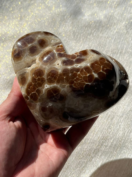 High Grade Botryoidal Chocolate Calcite Statement Heart B