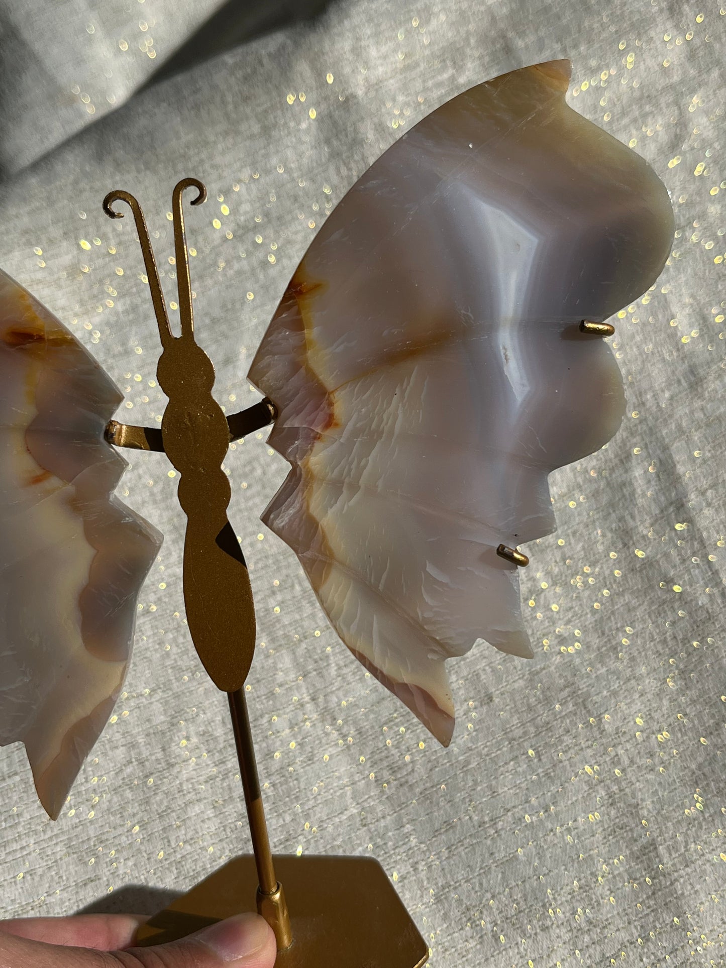 Translucent Agate Butterfly Wing set on Stand