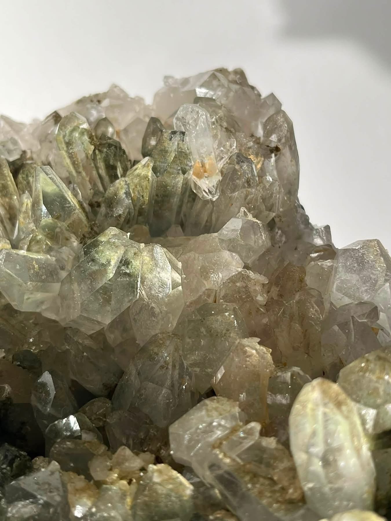 Statement Mossy Chlorite Garden Quartz Specimen A
