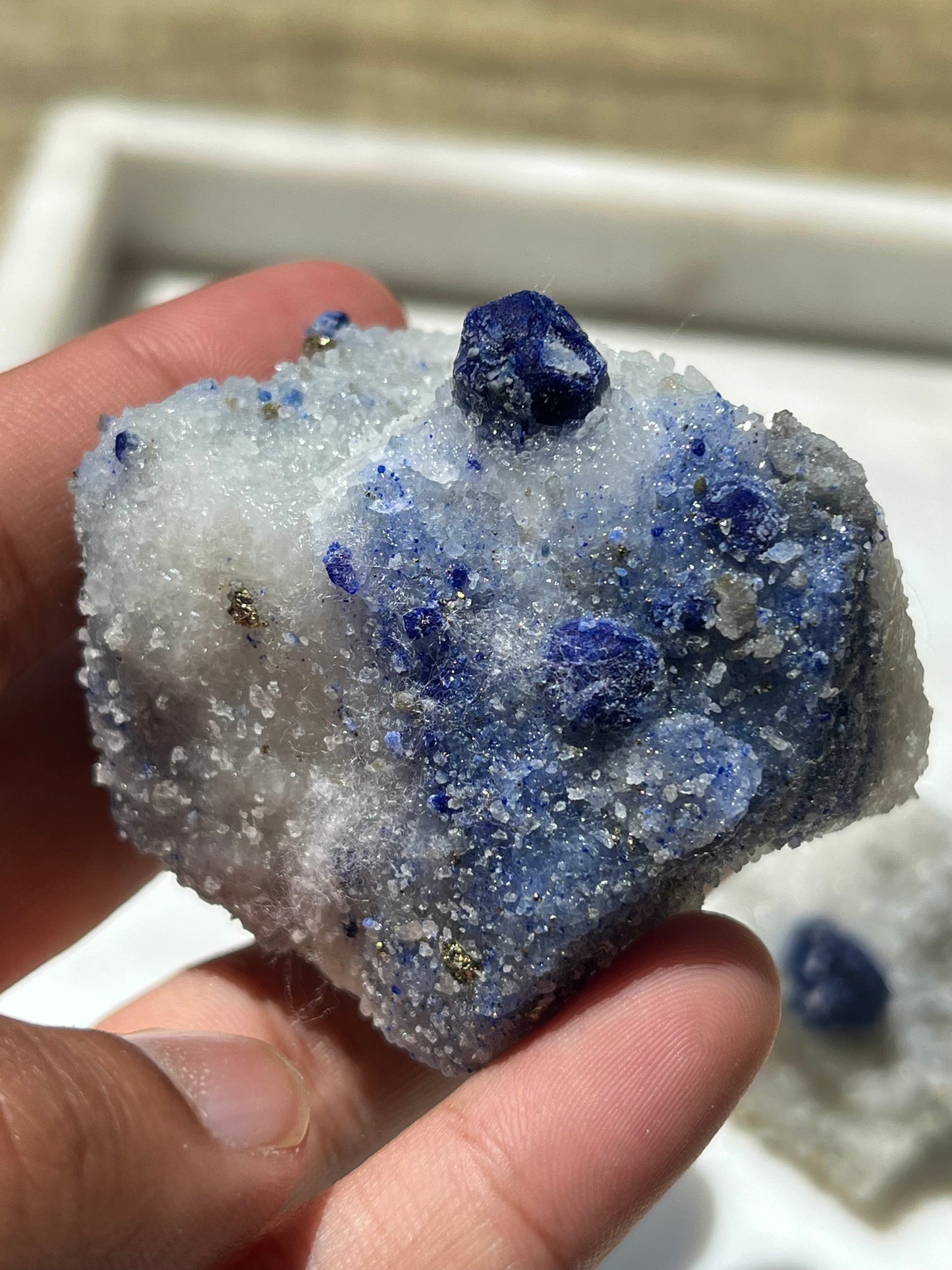 Lazurite specimen on white marble matrix w/ pyrite  (Quality 1) - Lot 3