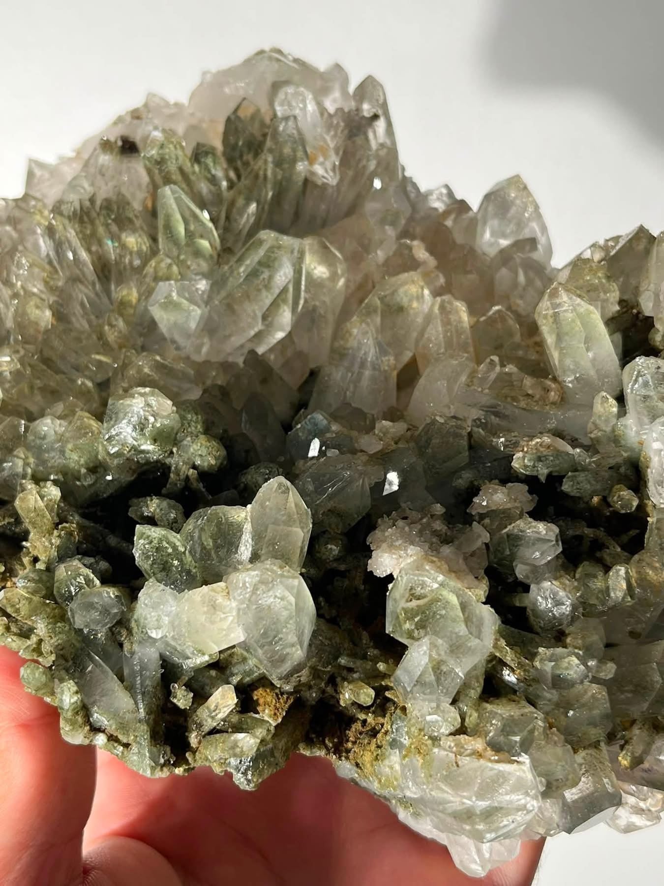 Statement Mossy Chlorite Garden Quartz Specimen A