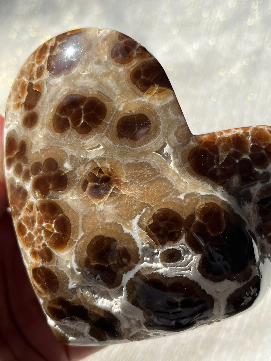 High Grade Botryoidal Chocolate Calcite Statement Heart A