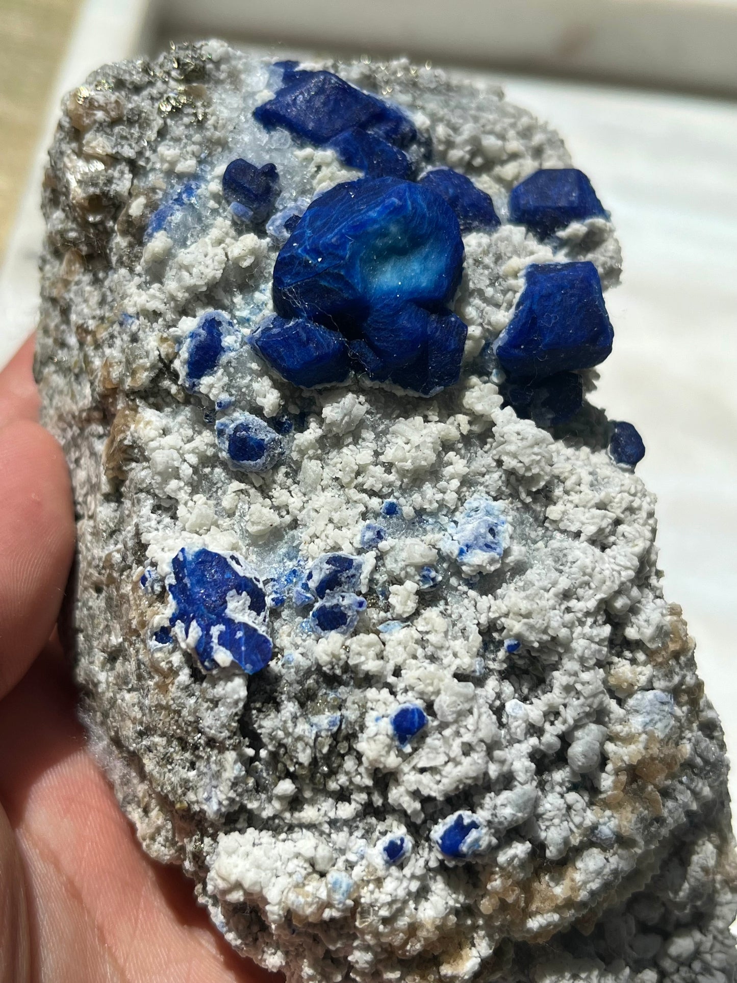 Statement Lazurite specimen on white marble matrix w/ pyrite (Quality 1)