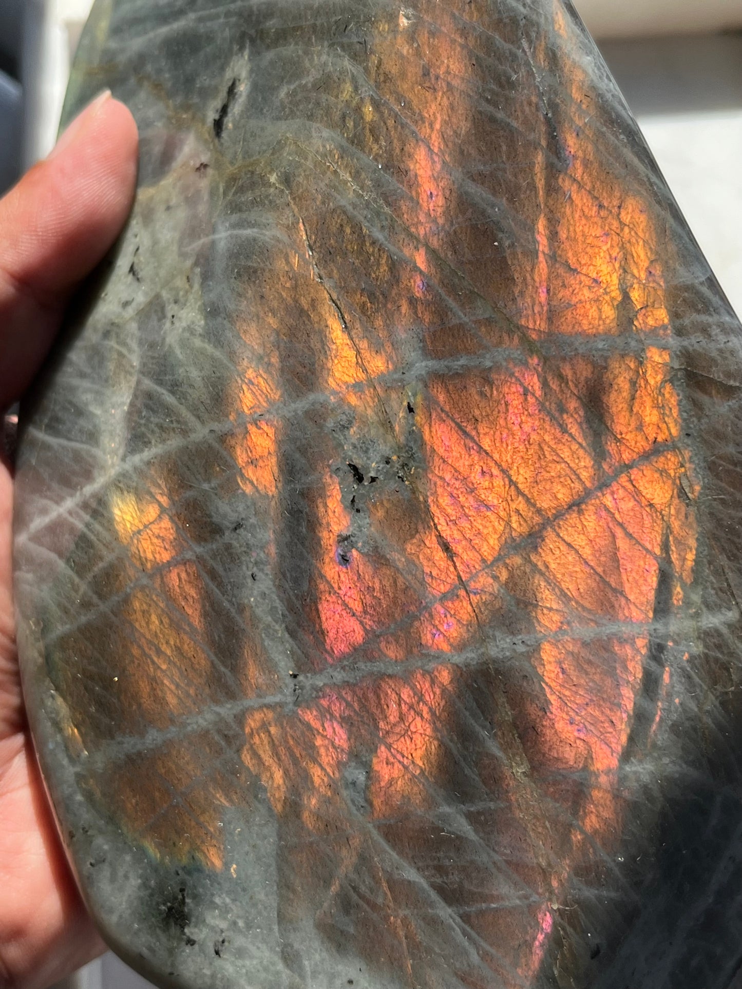 Sunset & Pink Flash Labradorite Statement Freeform (3.27 kg)