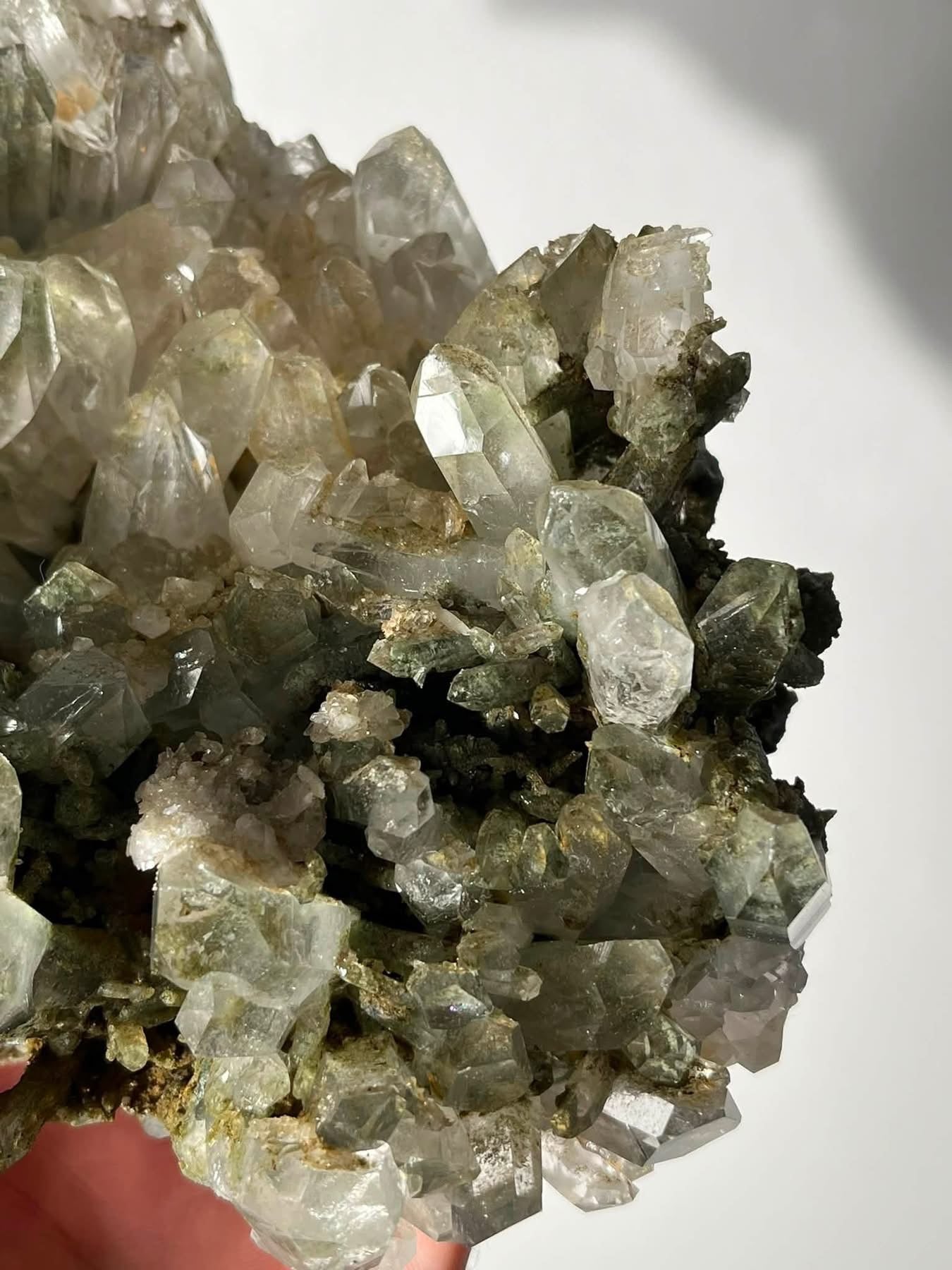 Statement Mossy Chlorite Garden Quartz Specimen A
