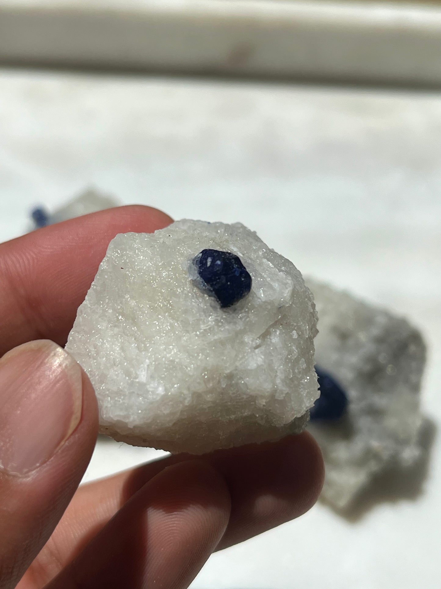 Lazurite specimen on white marble matrix w/ pyrite  (Quality 1) - Lot 3