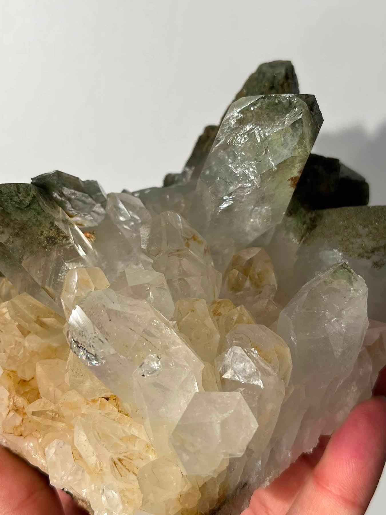 XL Chlorite Garden Quartz Cluster Specimen E