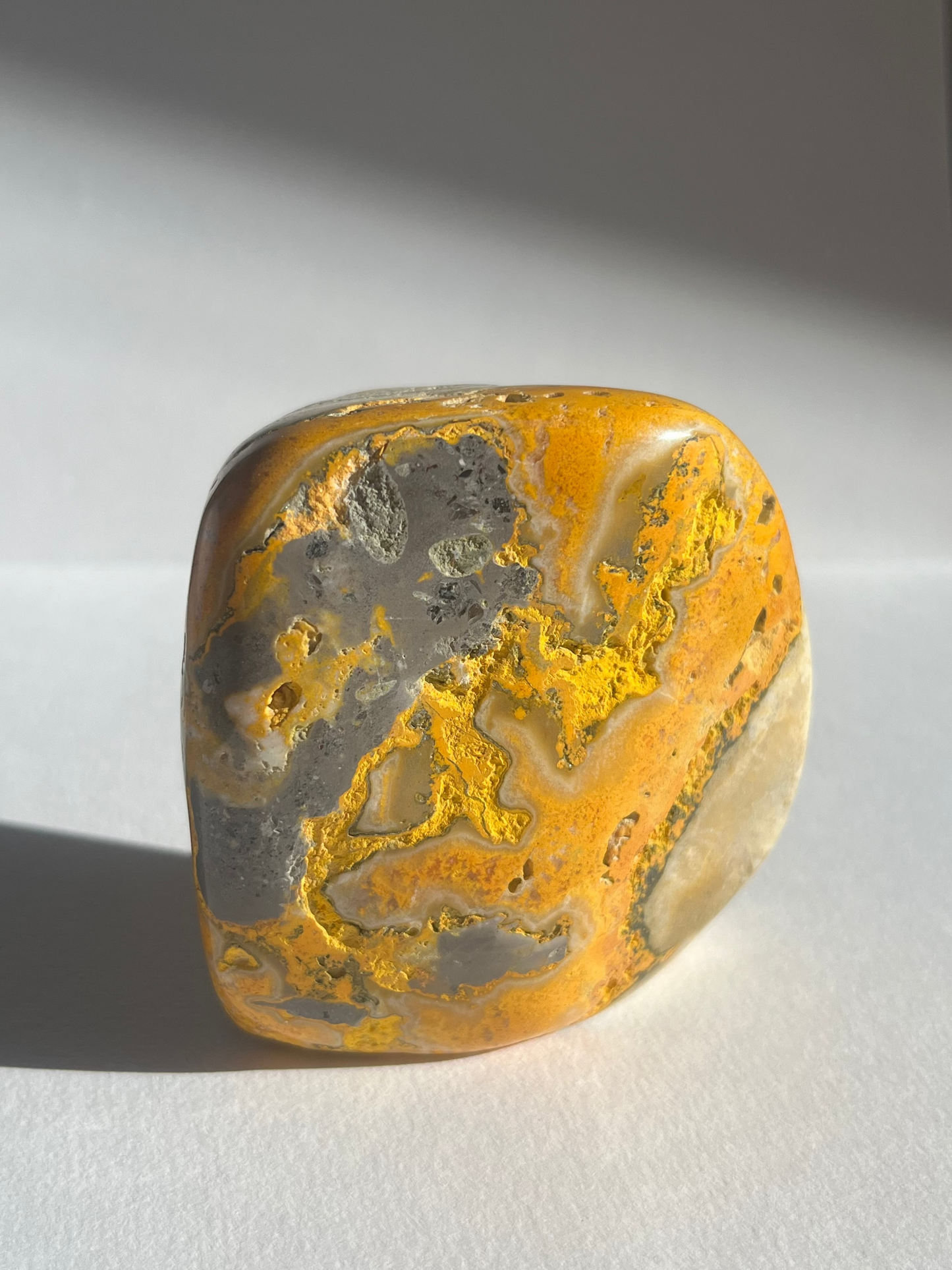 Bumblebee Jasper Freeform A
