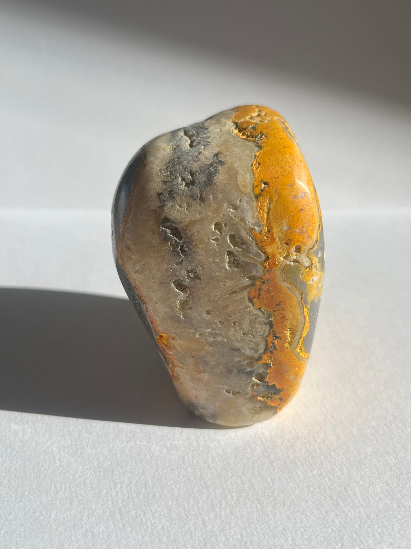 Bumblebee Jasper Freeform A