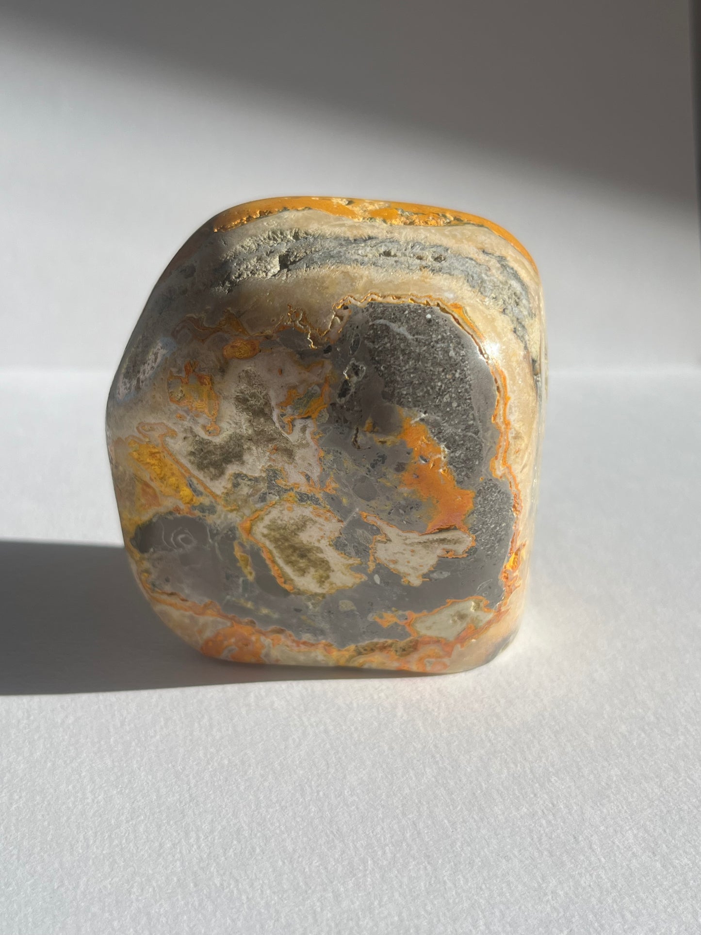Bumblebee Jasper Freeform A