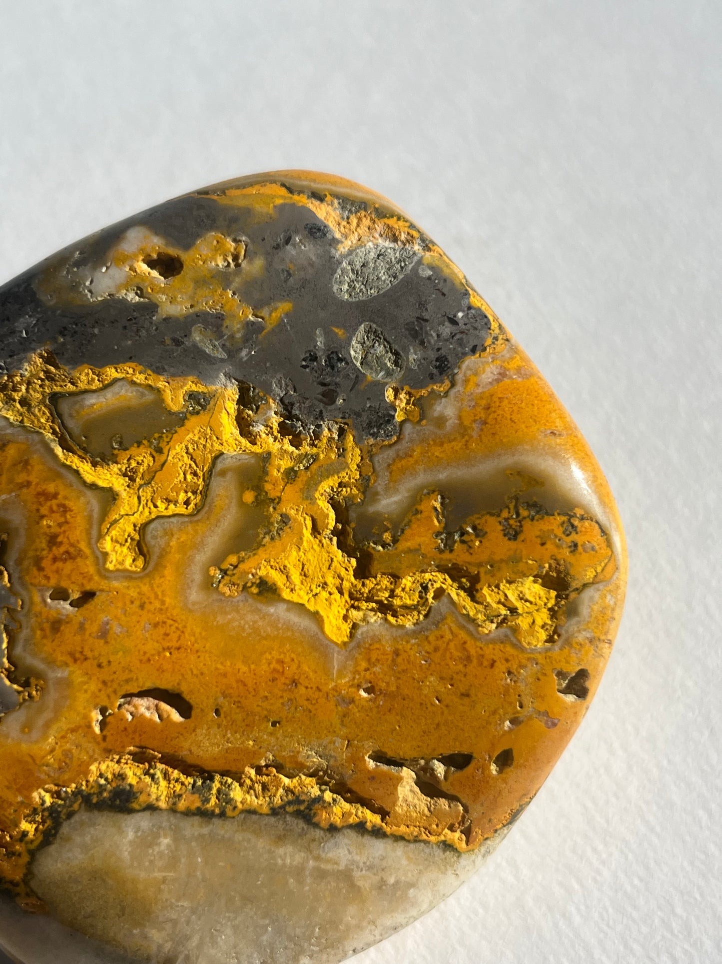Bumblebee Jasper Freeform A