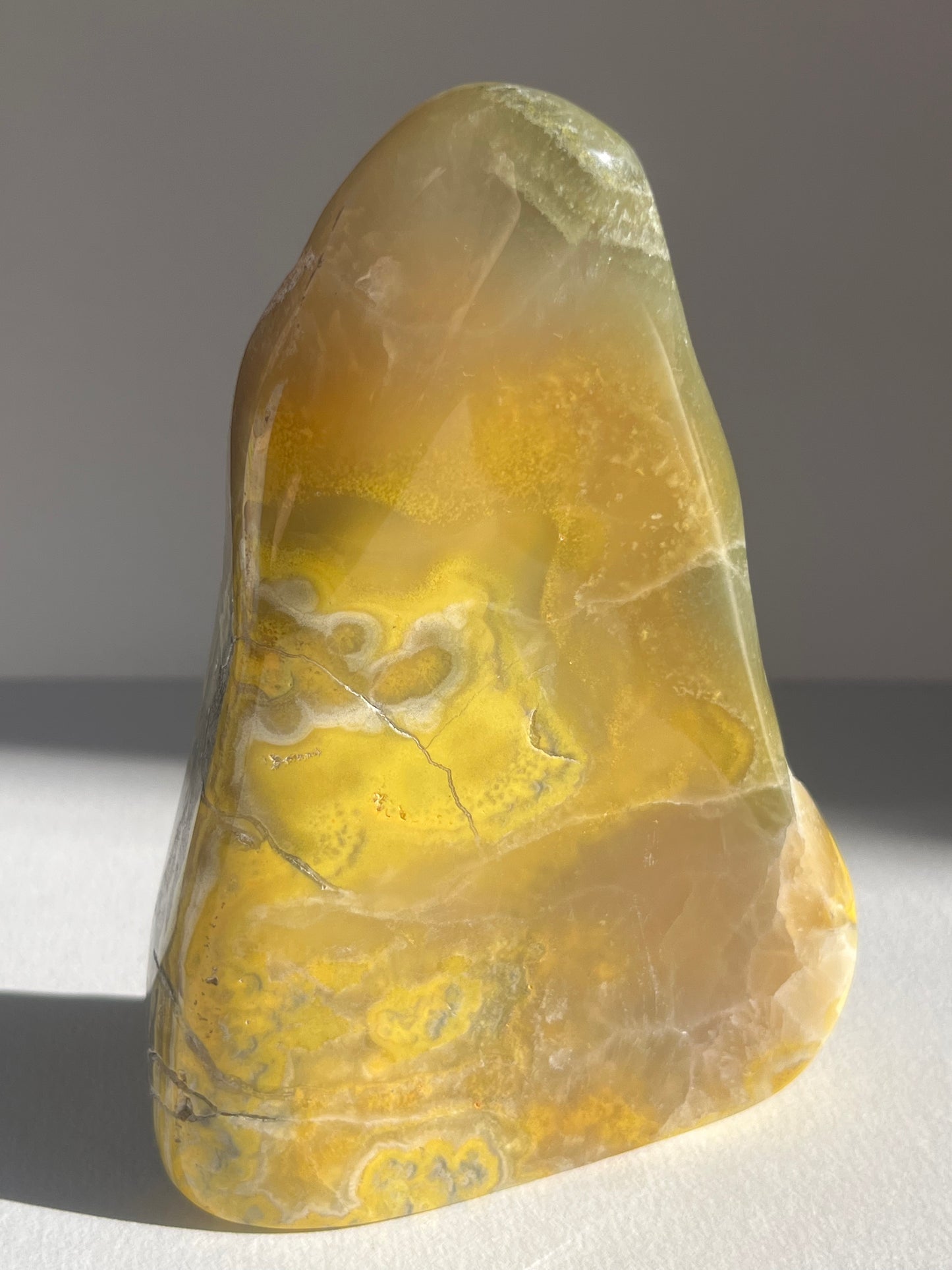 Bumblebee Jasper Freeform B