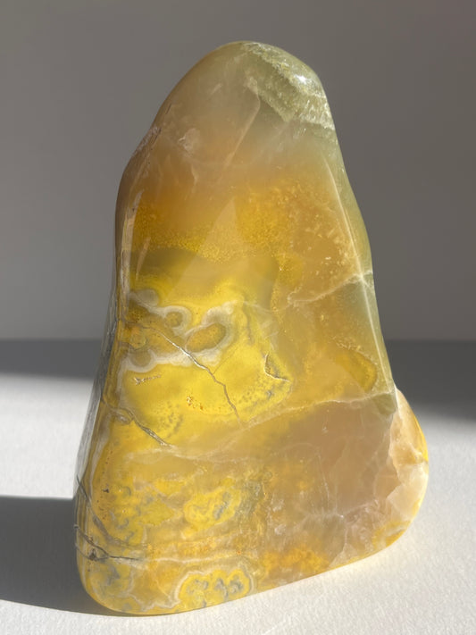 Bumblebee Jasper Freeform B