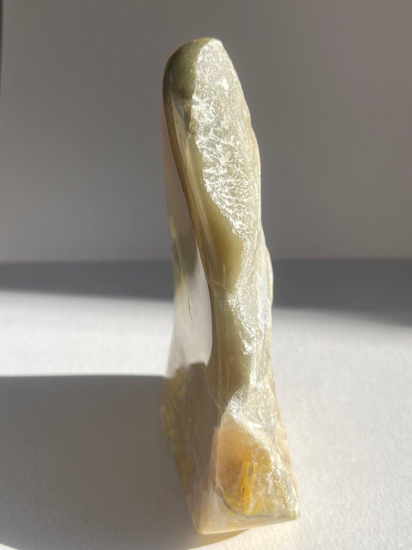 Bumblebee Jasper Freeform B