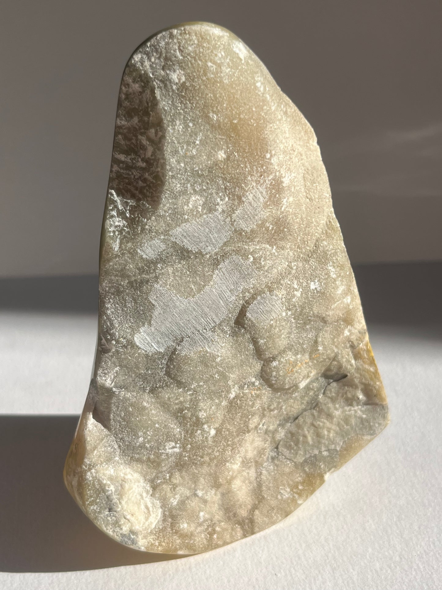 Bumblebee Jasper Freeform B