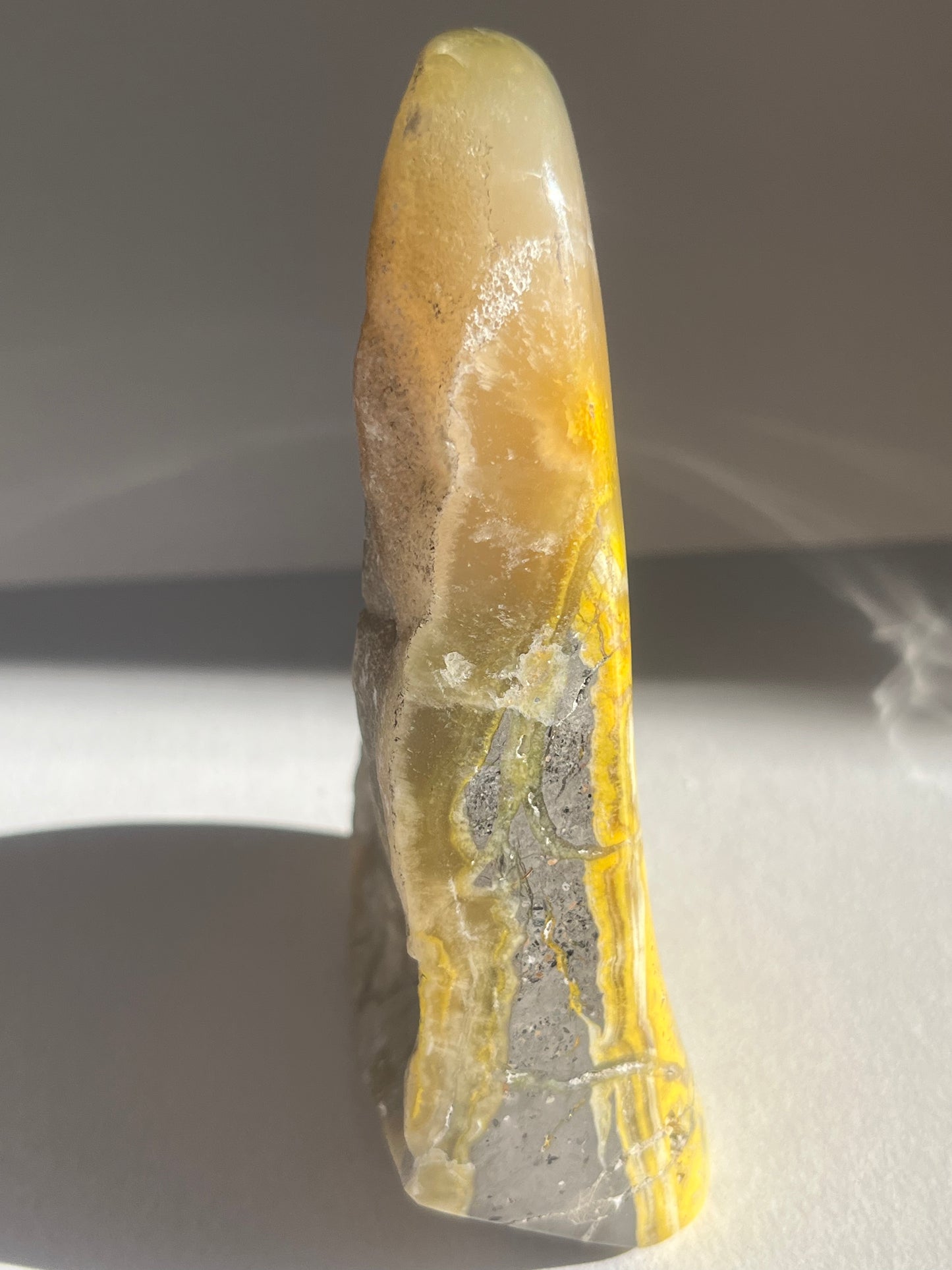 Bumblebee Jasper Freeform B