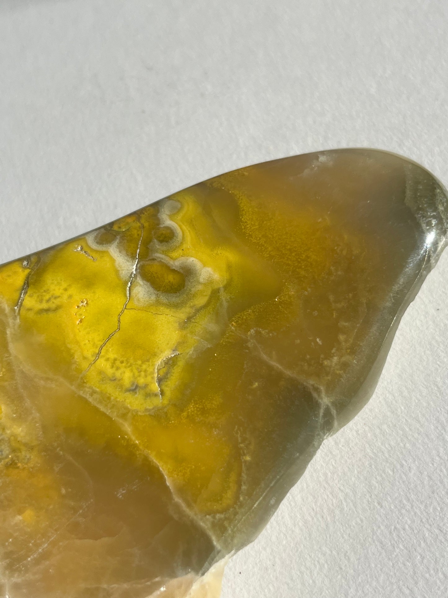 Bumblebee Jasper Freeform B