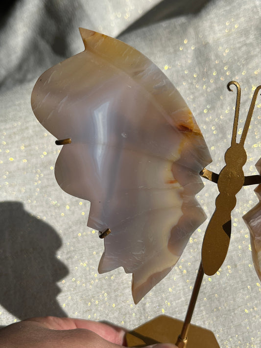 Translucent Agate Butterfly Wing set on Stand