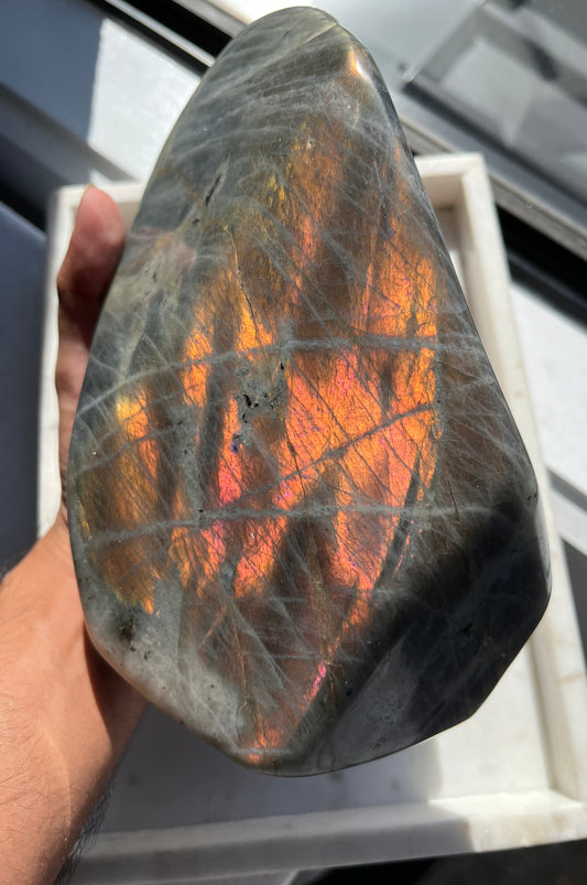 Sunset & Pink Flash Labradorite Statement Freeform (3.27 kg)