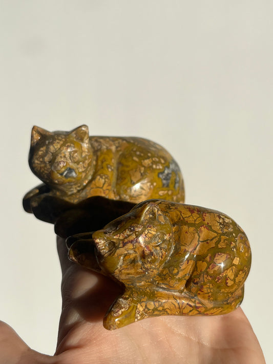 Cotton Candy Agate Cat Carvings A