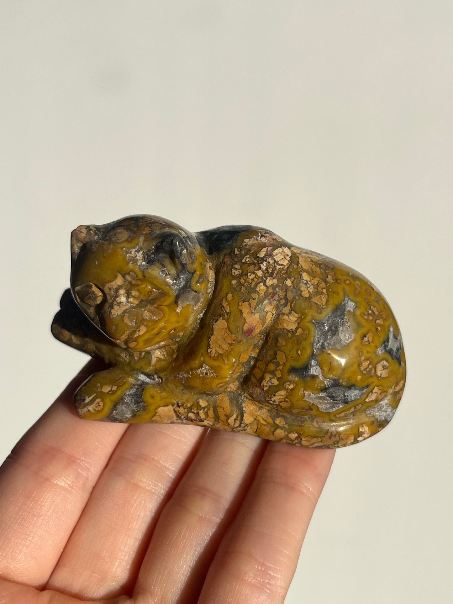 Cotton Candy Agate Cat Carvings B