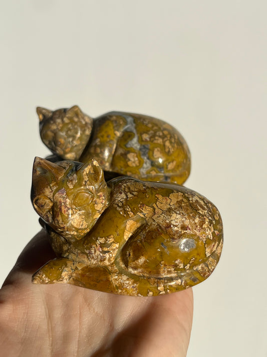 Cotton Candy Agate Cat Carvings F