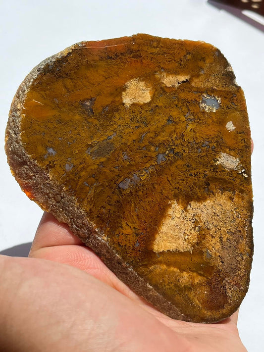 Indonesian Yellow Moss Agate Slabs