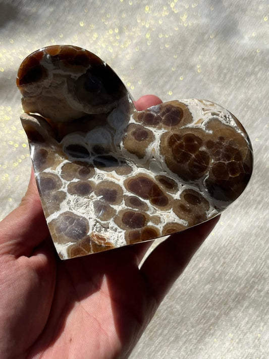 High Grade Botryoidal Chocolate Calcite Statement Heart C