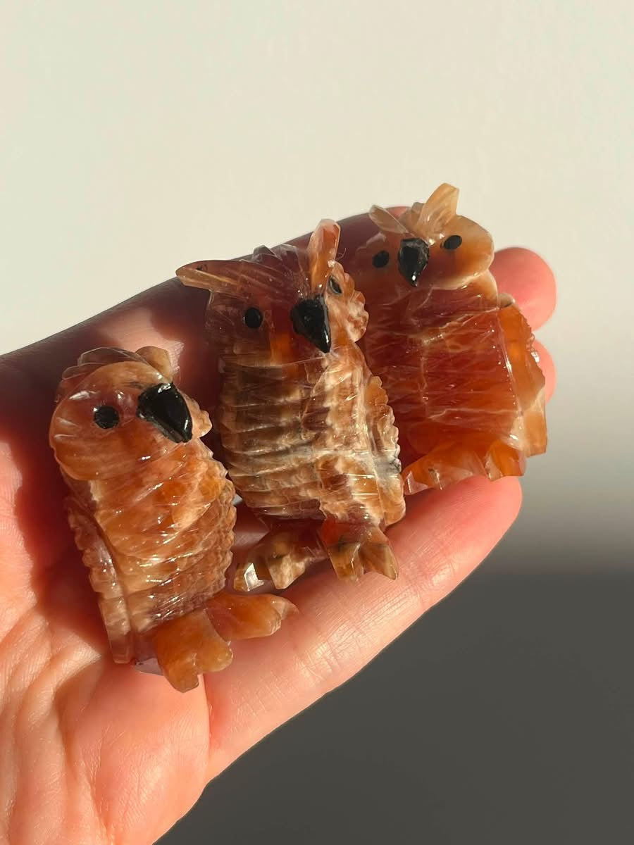 Hand Carved Argentinian Honey Calcite Owl Carvings (set of 3)
