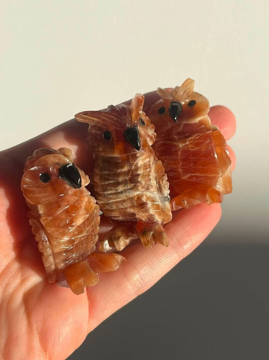Hand Carved Argentinian Honey Calcite Owl Carvings (set of 3)