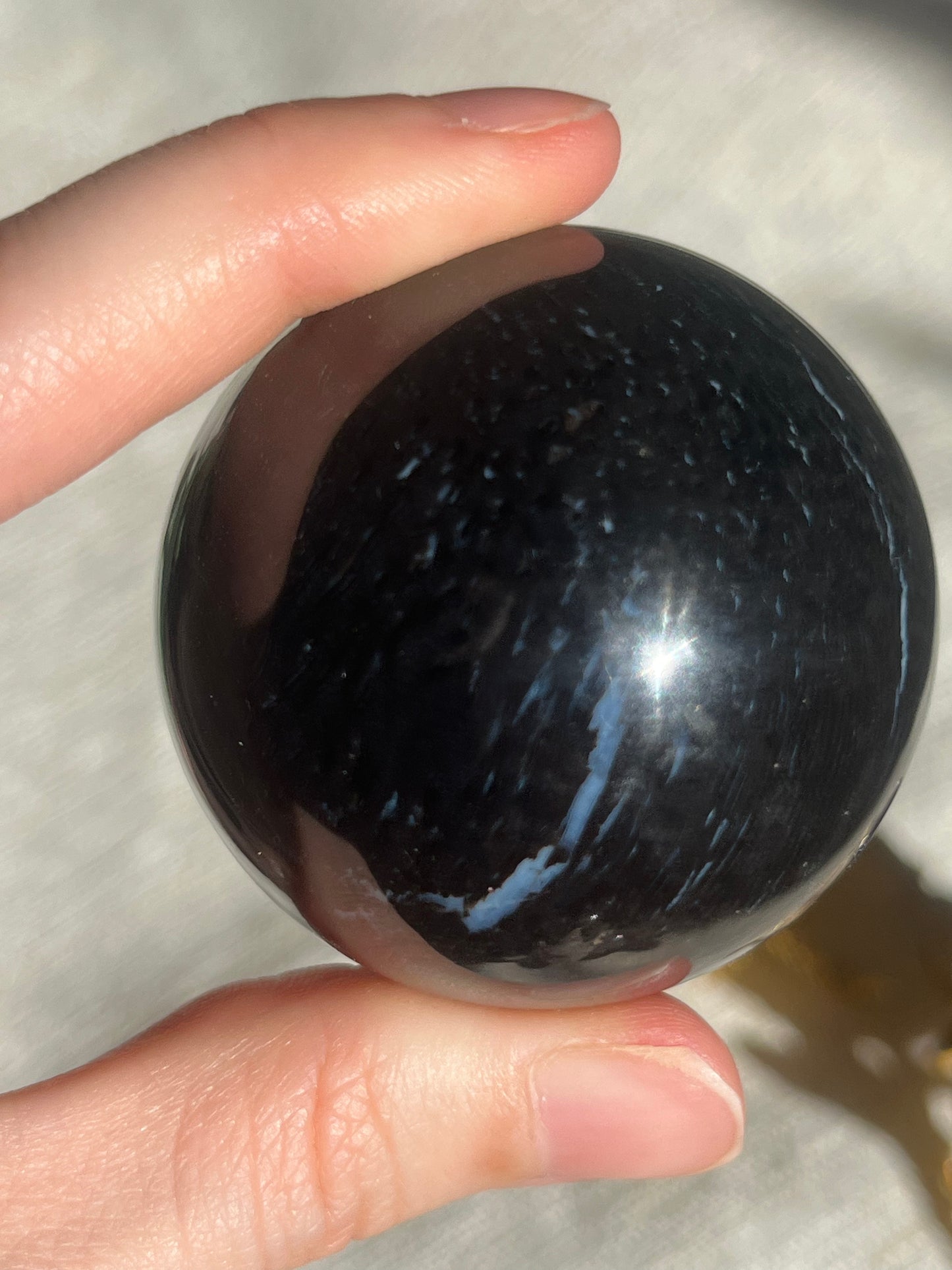 Petrified Wood & Purple Chalcedony Sphere Set (2 spheres)