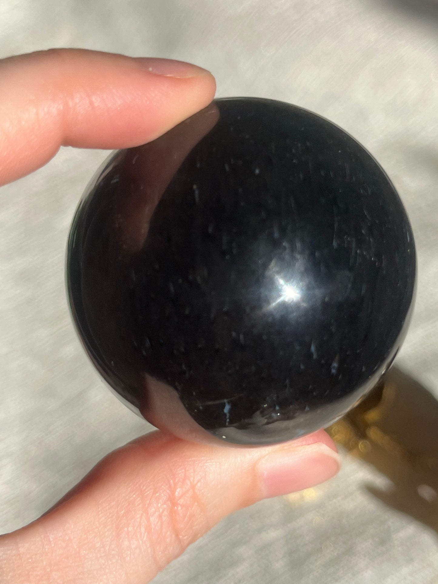 Petrified Wood & Purple Chalcedony Sphere Set (2 spheres)