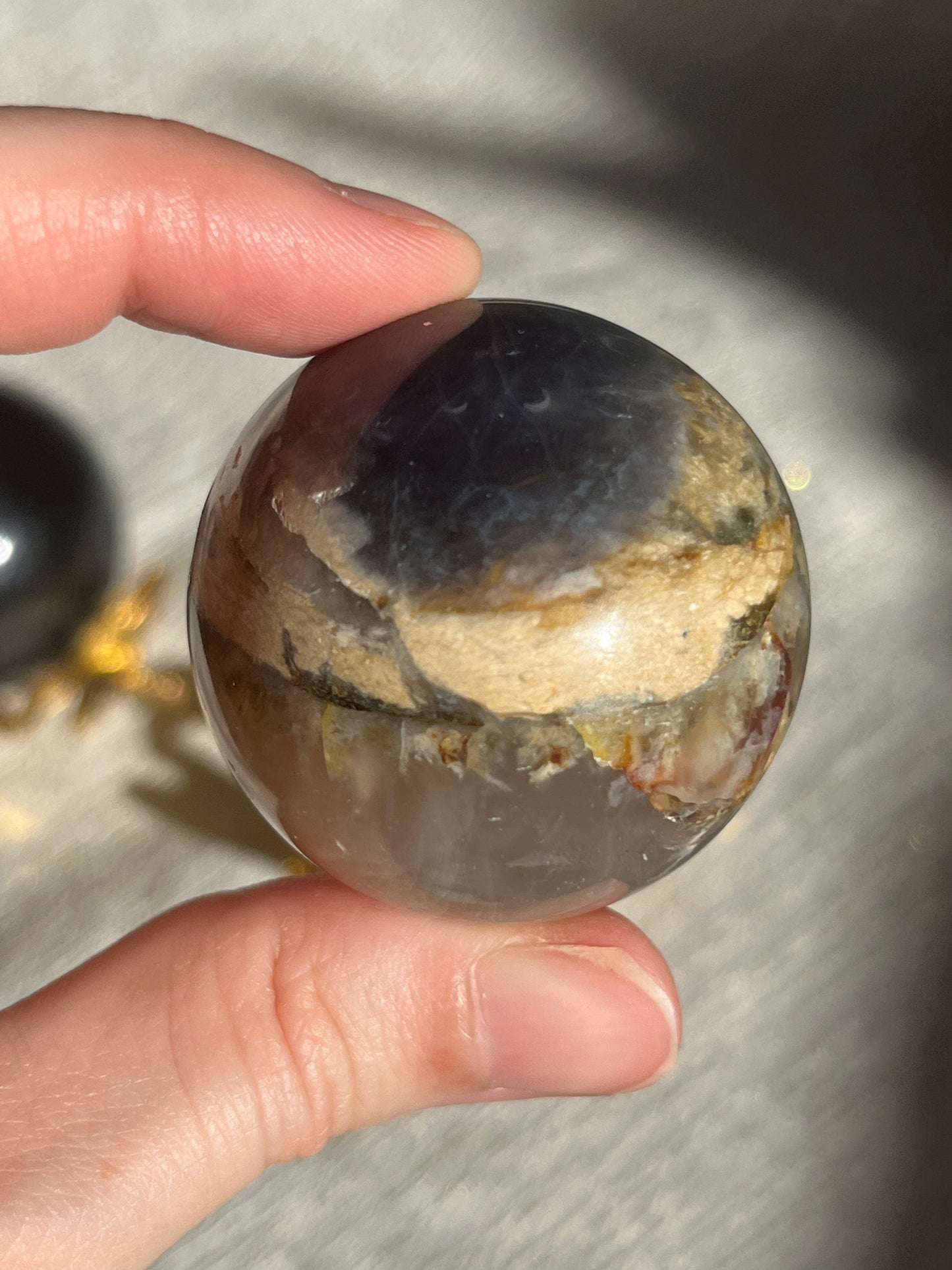 Petrified Wood & Purple Chalcedony Sphere Set (2 spheres)