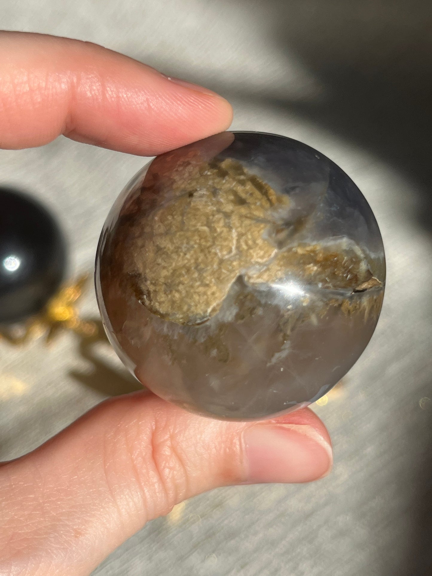 Petrified Wood & Purple Chalcedony Sphere Set (2 spheres)