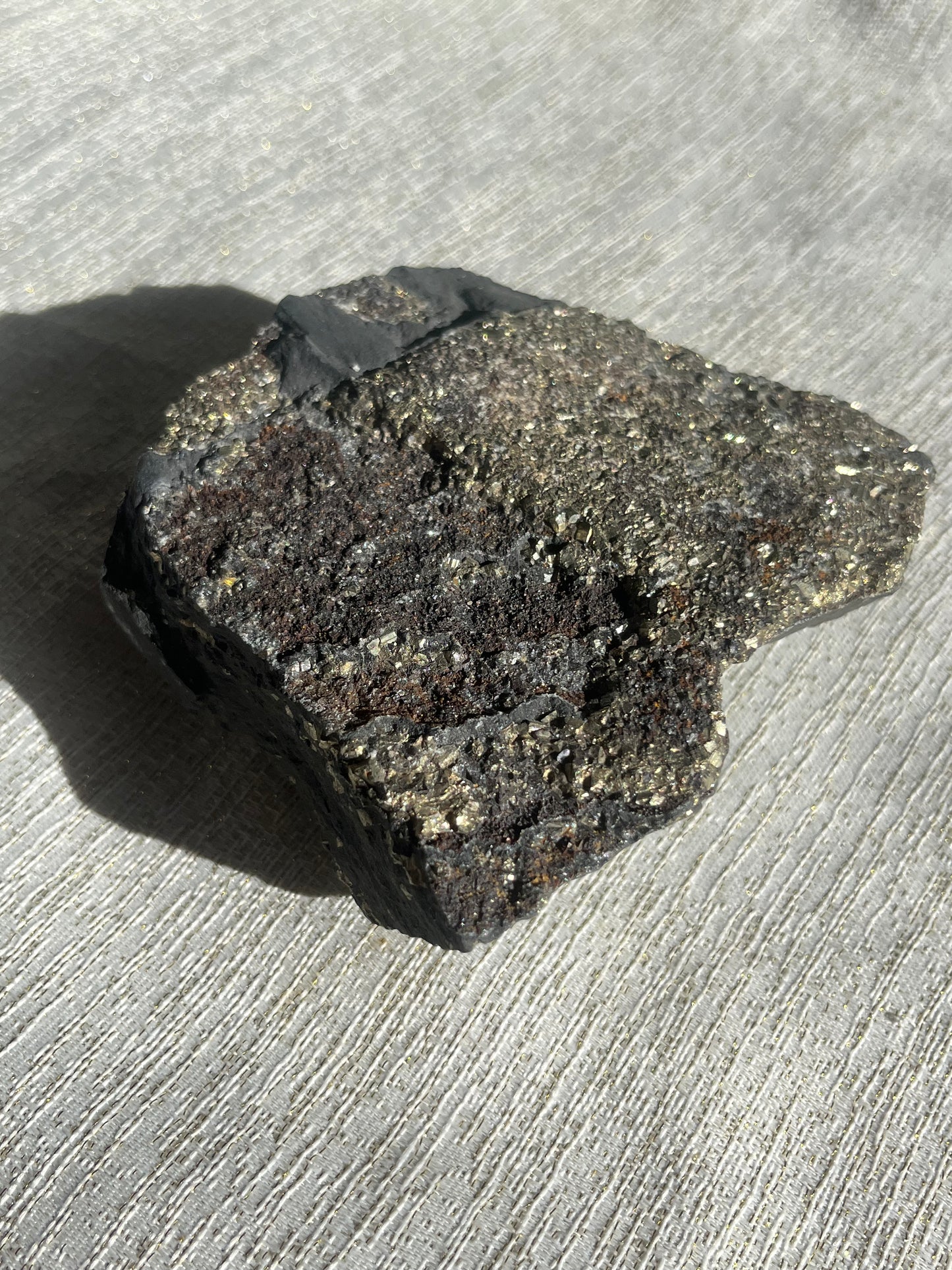 Pyrite in Shungite Specimen A