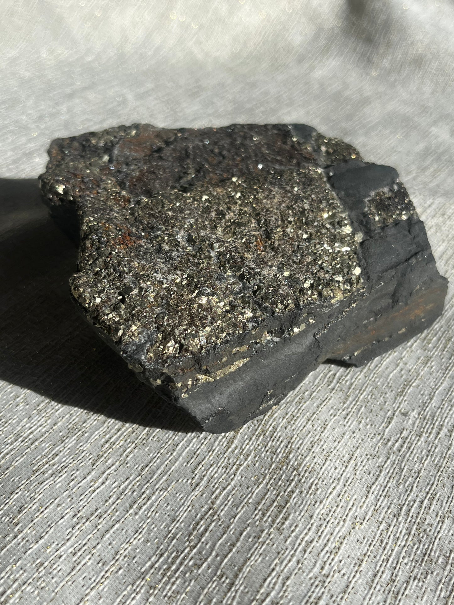 Pyrite in Shungite Specimen A