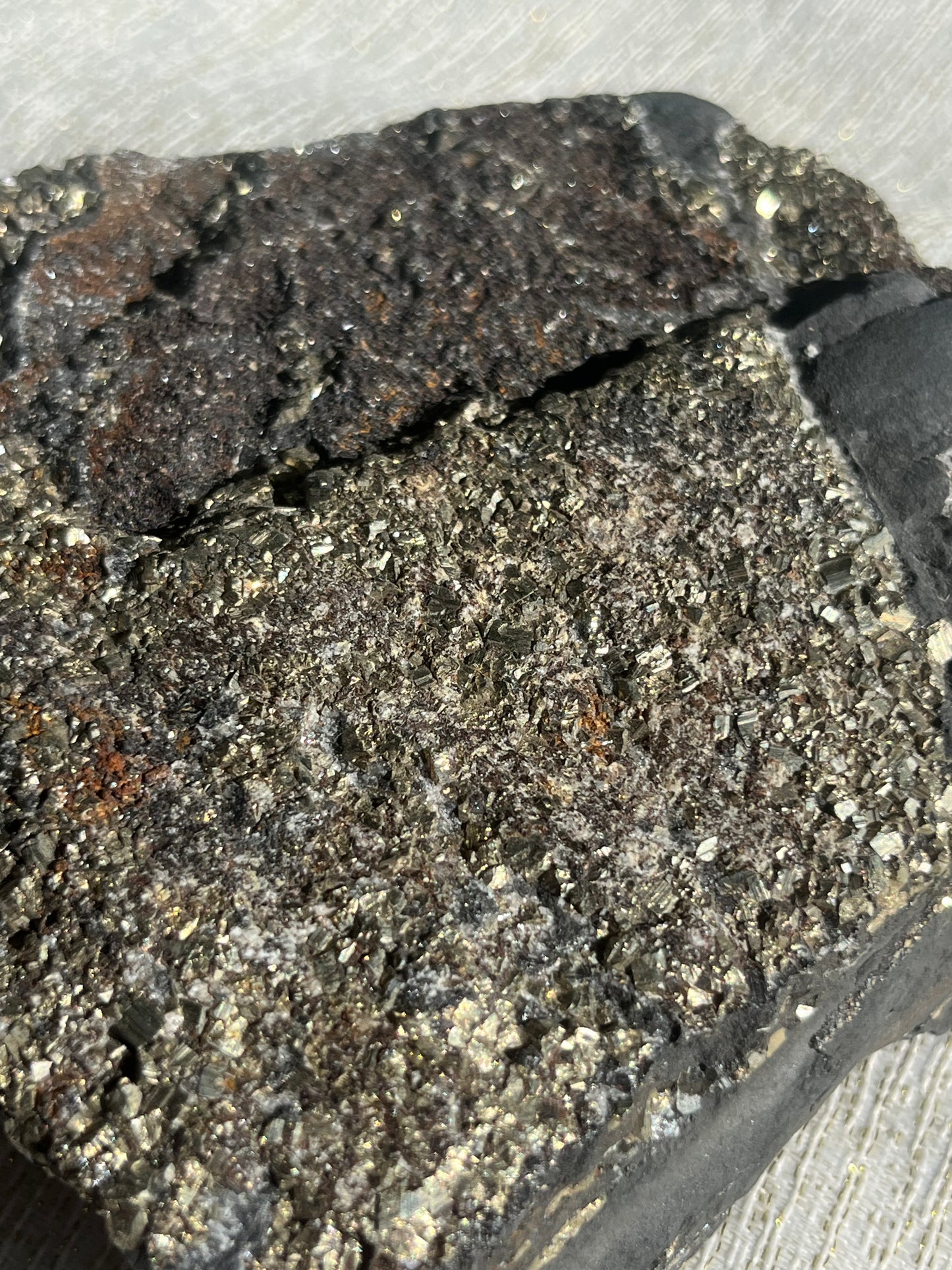 Pyrite in Shungite Specimen A
